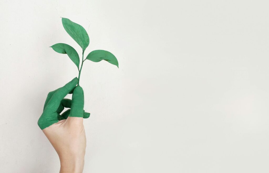 pexels-photo-886521-886521 A hand painted green holds a fresh plant sprout against a light background, symbolizing growth and sustainability.